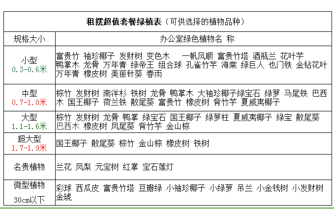 綠植租擺套餐一 （小型企業(yè)辦公室植物租賃套餐）